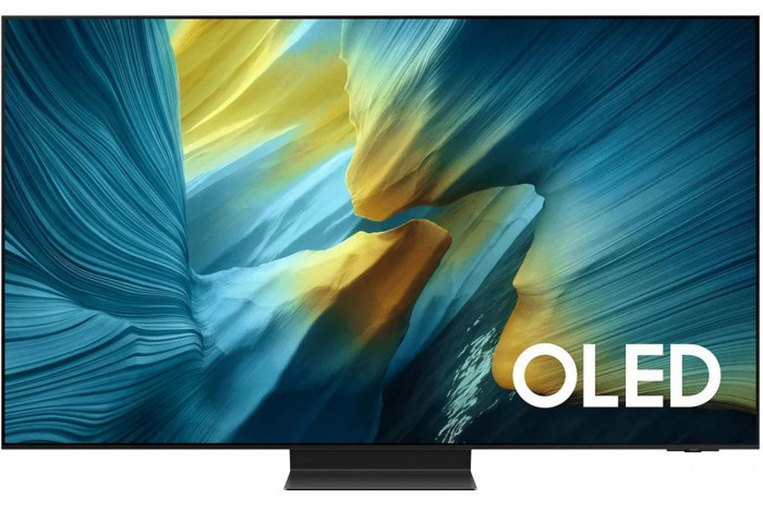 Телевизор Samsung QE55S95FAUXRU
